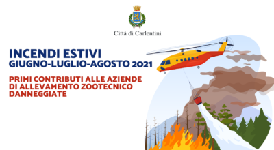 Incendi estivi mesi di giugno, luglio, agosto 2021: criteri e modalità di erogazione dei primi contributi alle aziende di allevamento zootecnico danneggiate