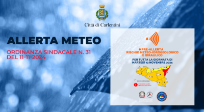 Allerta meteo: Ordinanza Sindacale n. 31 del 11-11-2024